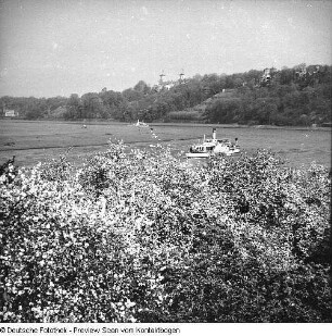 Elbe im Raum Dresden; Elbe Baumblüte Loschwitz
