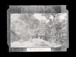 [Photograph of the Ruins of Palenque, Temple of the Sun by C. B. Waite]