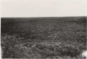 Ausblick vom Tafelberg in Richtung Süden : 24,86 km westlich von Nioaque, Höhe: ca. 460 m