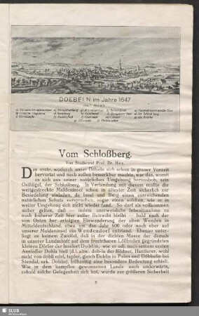 Vom Schloßberg