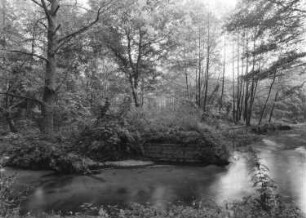 Ehemaliger Truppenübungplatz Königsbrück. Königsbrücker Heide, Brückenreste über die Pulsnitz in Richtung Ortslage Rohna