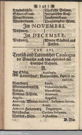 Cap. LVI. Teutsch und Lateinischer Catalogus der Gewächse nach dem Alphabeth der Teutschen Nahmen