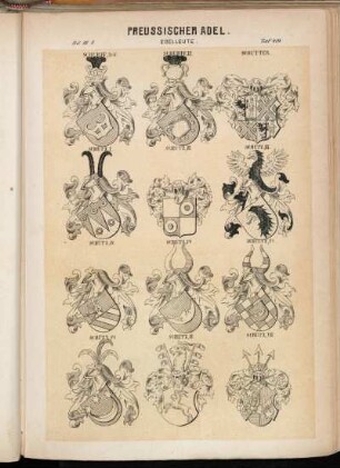 Taf. 419. Schurff, St.W. - Schurff II. - Schutter. - Schütz I. - Schütz II. - Schütz III. - Schütz IV. - Schütz Va. - Schütz Vb. - Schütz Vc. - Schütz VI. - Schütz VII.