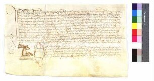 Notariatsinstrument des Daniel Noher: "Procuratorium Stephani Span vicarii ad resignationem vicariae seu Beneficii sui". (Altrep. S. 19)