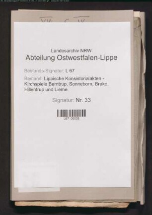 Einkünfte und Hudefreiheit des Küsters