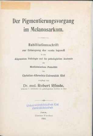 Der Pigmentierungsvorgang im Melanosarkom