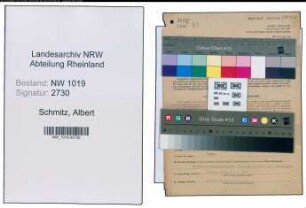 Entnazifizierung Albert Schmitz , geb. 11.08.1897 (Lederzuschneider)