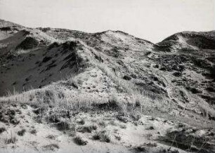 Ohne Titel (Düne)