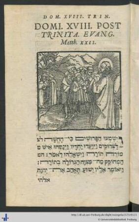Domi. XVIII. Post Trinita. Evang. Matth. XXII.