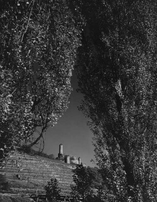 Archivfotografie "neckar_hornberg_p542"