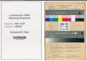 Entnazifizierung Felix Schoenhoff , geb. 16.10.1903 (Dachdecker)