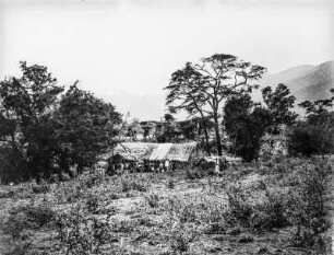 Gruppe vor einer Hütte (Ostafrika-Reisen Uhlig 1901-1910)