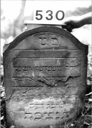 Grabstein 530 (Index: 99802724) Material: Sandstein Zustand: völl. abgeblättert/Textverlust Maße HxBxT: 59x45x9 cm Beschreibung: Stele mit Karniesbogen: Grabstein 530