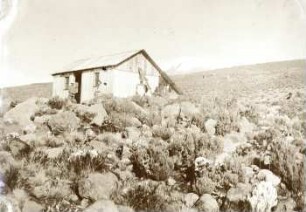 Petershütte oberhalb Moschi