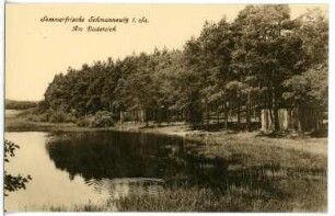 Schmannewitz. Badeteich