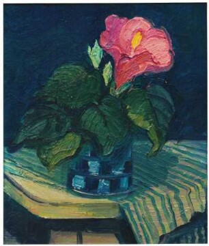 Hibiscus