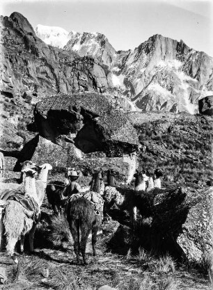 Aufstieg : Aufstieg mit Lamas in den Cooca-Kessel.