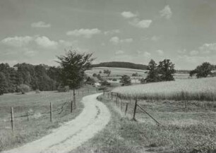 Sächsische Schweiz, Polenztal, Feldweg