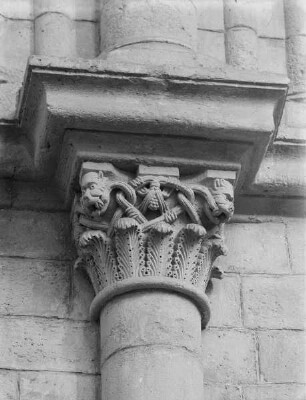 Fabelwesen und pflanzliche Ornamente