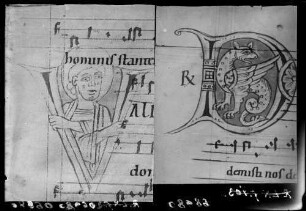 Reichenau Liederhandschrift