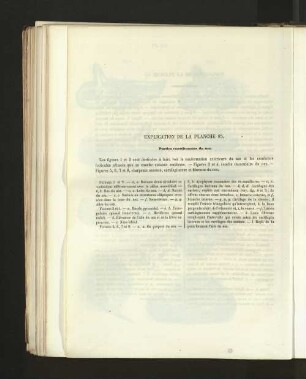 Pl. 85.