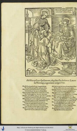 Pictura et Ad istius picturæ spectatorem elegidion Bartholomæi Laurentis Neomagi