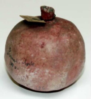 Granatapfel