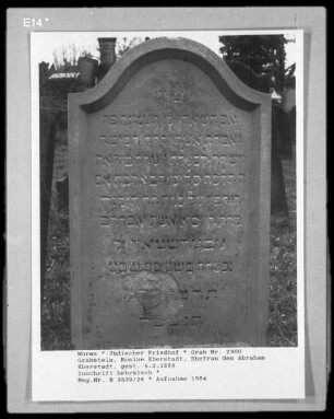 Grabstein der Rosine Eberstadt, Ehefrau des Abraham (gestorben 1888.02.06)