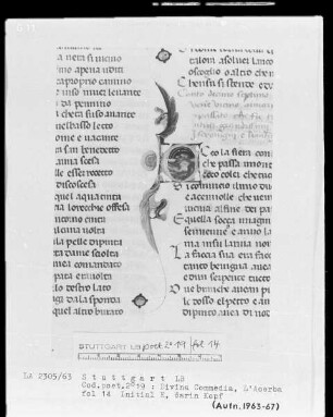 Dante, Divina Commedia und Cecco d'Ascoli, L'Acerba — Initiale E mit einem Männerkopf, Folio 14recto
