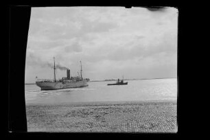 Chirripo (1920), Elders & Fyffes