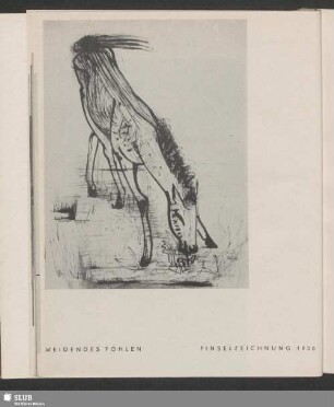 Weidendes Fohlen