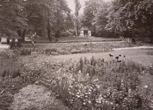Großer Garten : Reichsgartenschau, Blick über den Garten des immerblühenden Rittersporns in den Ruhegarten