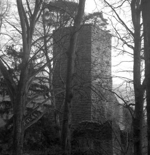 Burg Schadeck / Schwalbennest
