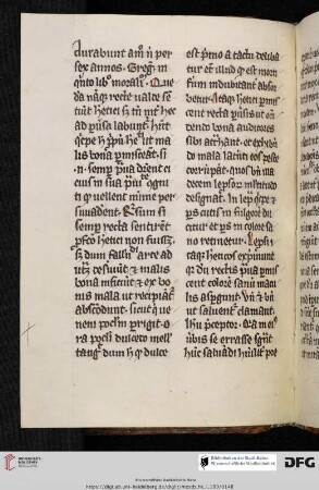 Exzerpte aus Gregorius Magnus, Moralia in Iob