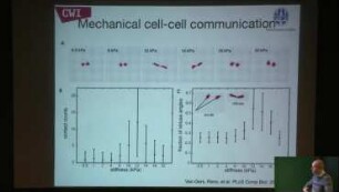 Cell-based modeling of mechanical cell-matrix interactions during embryonic development