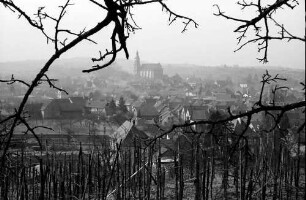 Ettenheim: Blick über Weinberge auf Ettenheim