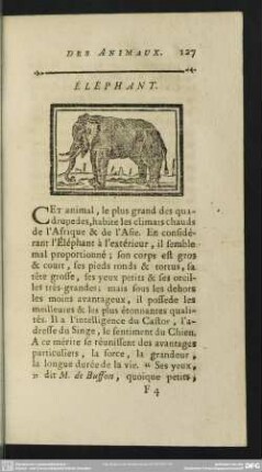 Éléphant