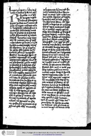 Thomas Cantimpratensis, Bonum universale de apibus.
