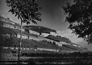 Archivfotografie "kaiserstuhl_ihringen_3973"