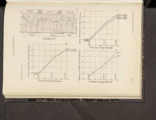 Tafel XII : I. Lebendgewicht. - II. Umsetzbare Energie-Kalorien. - III. Umsetzbare Energie- Kalorien. - IV. Umsetzbare Energie -Kalorien.