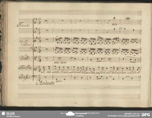 Cavatina: "Si voi siete il mio padrone"
