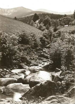 Polnisches Riesengebirge. Schneegrubenwasser, Geröllbett gegen den Kamm gesehen. Im Hintergrund von links nach echts: Agnetendorfer Schneegrube, Große Sturmhaube, Hohes Rad, Schneegrubenbaude