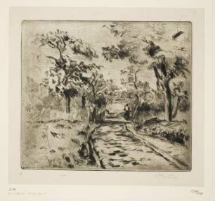 Großer Waldweg