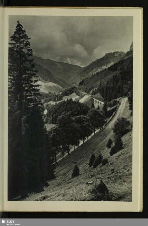 Der Höllsteig im Höllental bei Hinterzarten