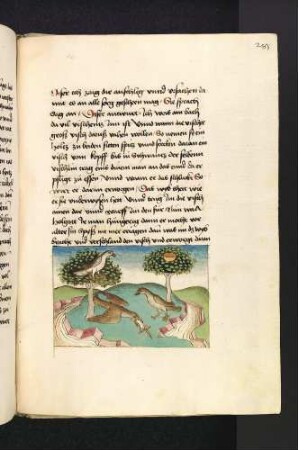 Die Vogelfrau und ihr toter Mann Holgot; (Kapitel XVI: Von den Vögeln)