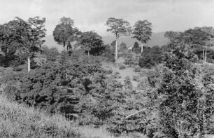 Landschaft : Aufnahme der Landschaft nahe Kwamtili.