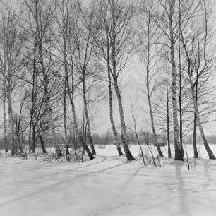 Landschaftsbild. Winter im Spreewald. : Wobraz krajiny. Zyma w Błótach.