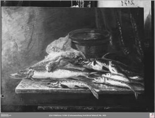 Stillleben Fische