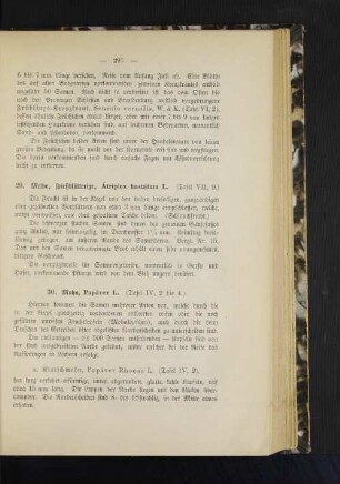 30. Mohn, Papáver L. (Tafel IV, 2 bis 4.)