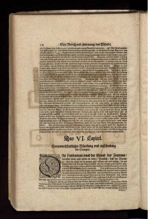 Von unterschiedlicher Würckung und außtheilung der Stangen